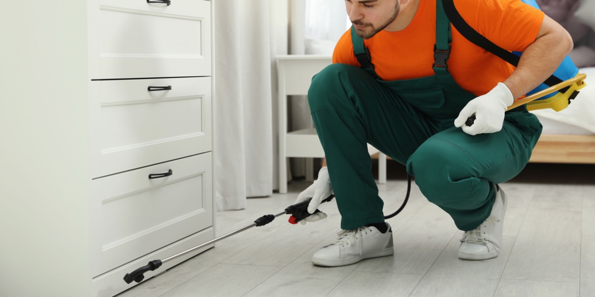 pest and termite control services in jaipur near me