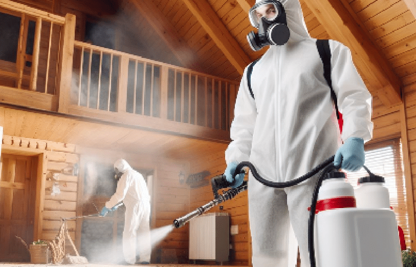 pest and termite control services in jaipur near me