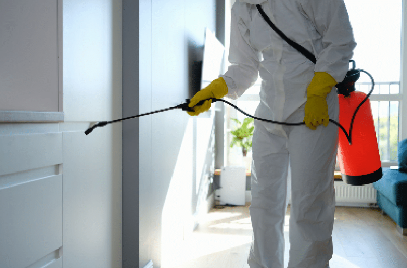 pest and termite Treatment control services in rajasthan